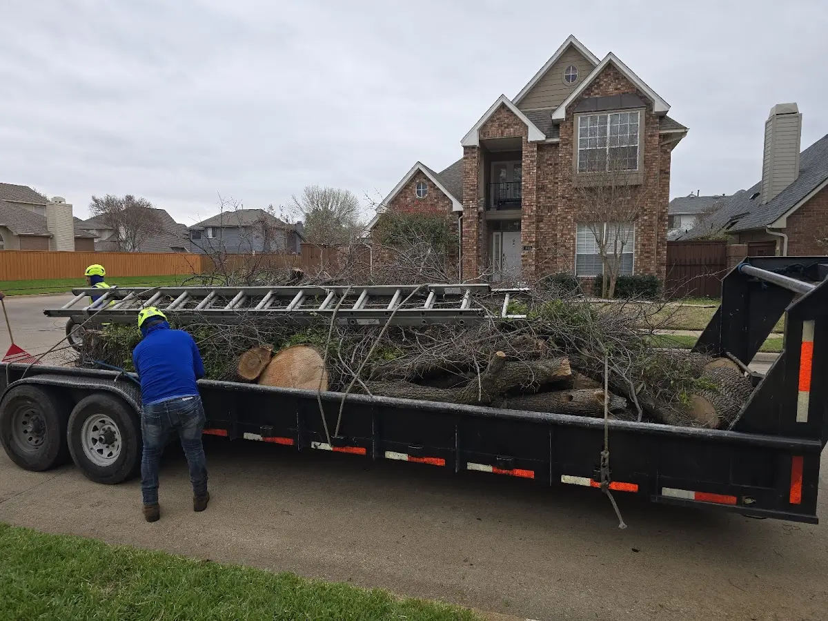 Expert Tree Fertilization with proper safety equipment in Georgiana
